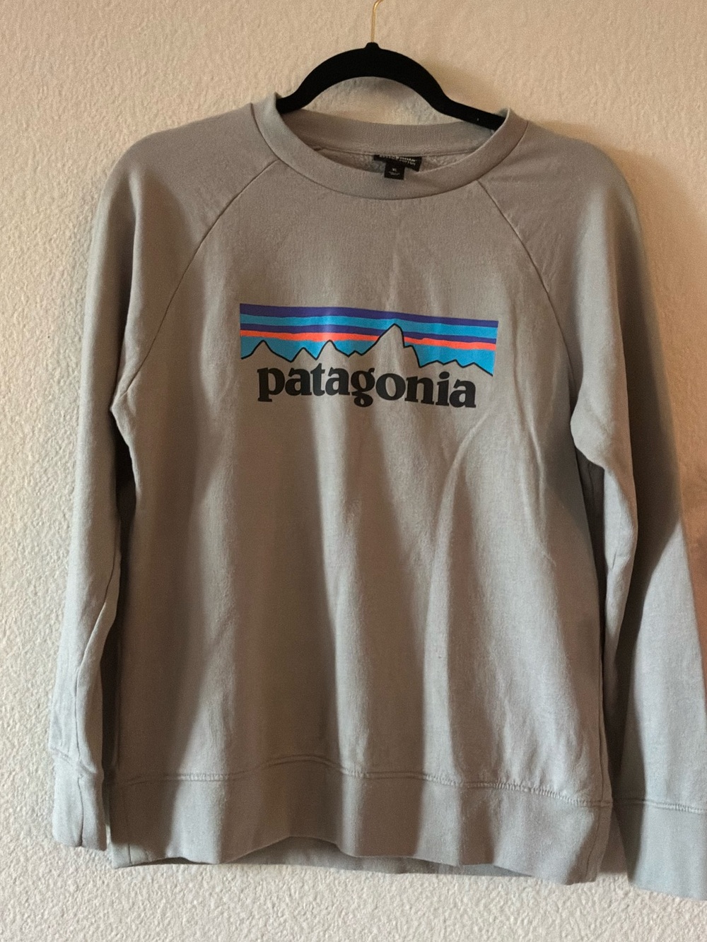 Patagonia Men’s Light Gray Crewneck Sweatshirt with Multicolor Logo